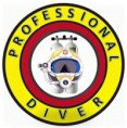 Diverworks